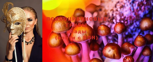 МДПВ Алексеевка