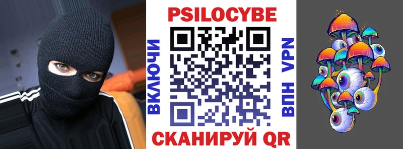 Псилоцибиновые грибы Psilocybe  Любим 